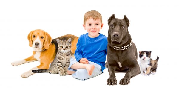 Palm Coast Pets