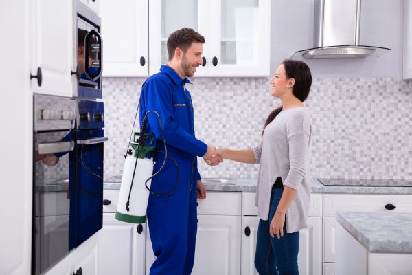 Palm Coast Pest Control Service