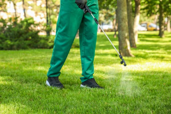 Palm Coast Lawn Treatment