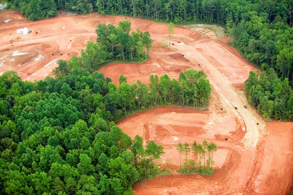 Palm Coast Land Clearing
